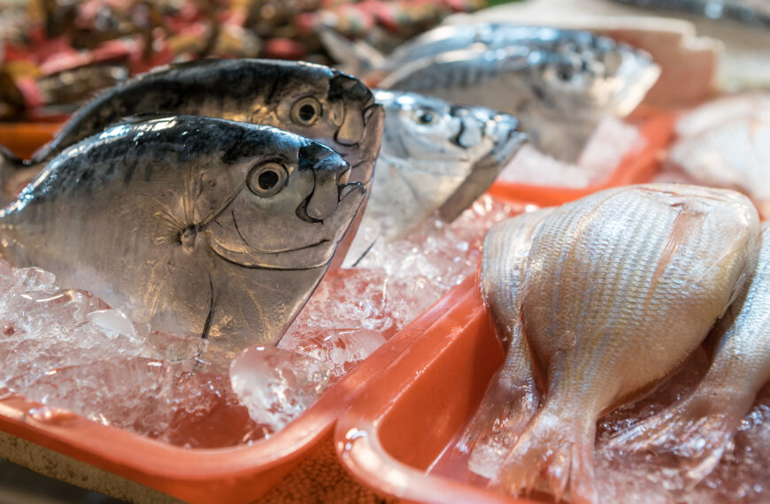 أسعار الأسماك الطازجة تقفز نتيجة المقاطعة التركيّة، وهذه أنواعها التي ستزيد قريبا