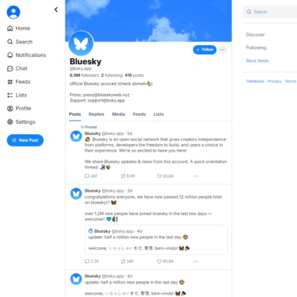 Bluesky User Profile